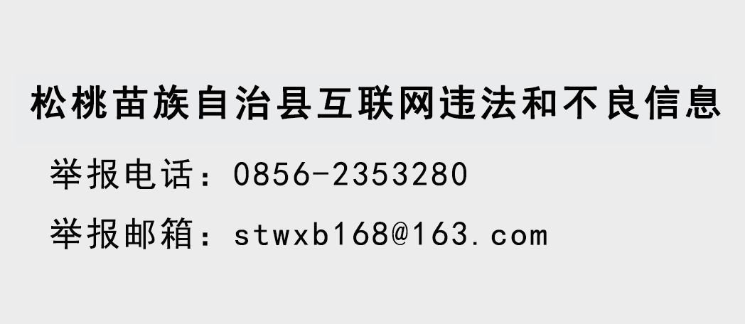 2024年松桃苗族自治县第十一中学公开考调教官工作简章